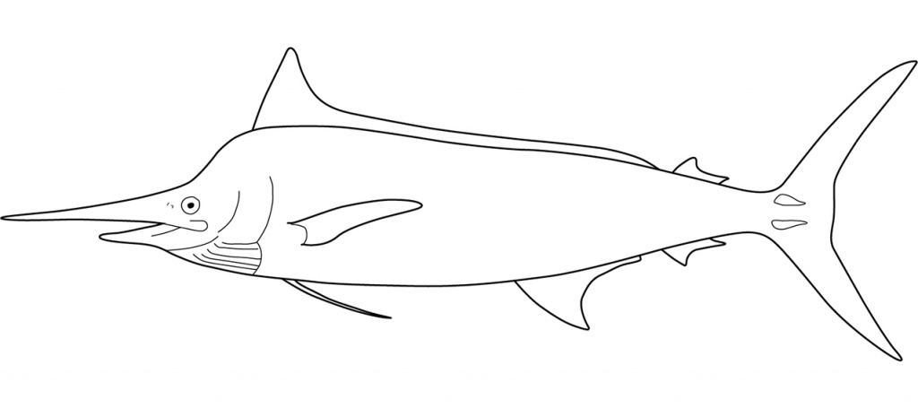 Istiophoridae